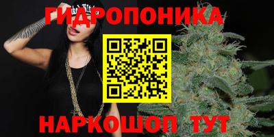 ешки Лесосибирск