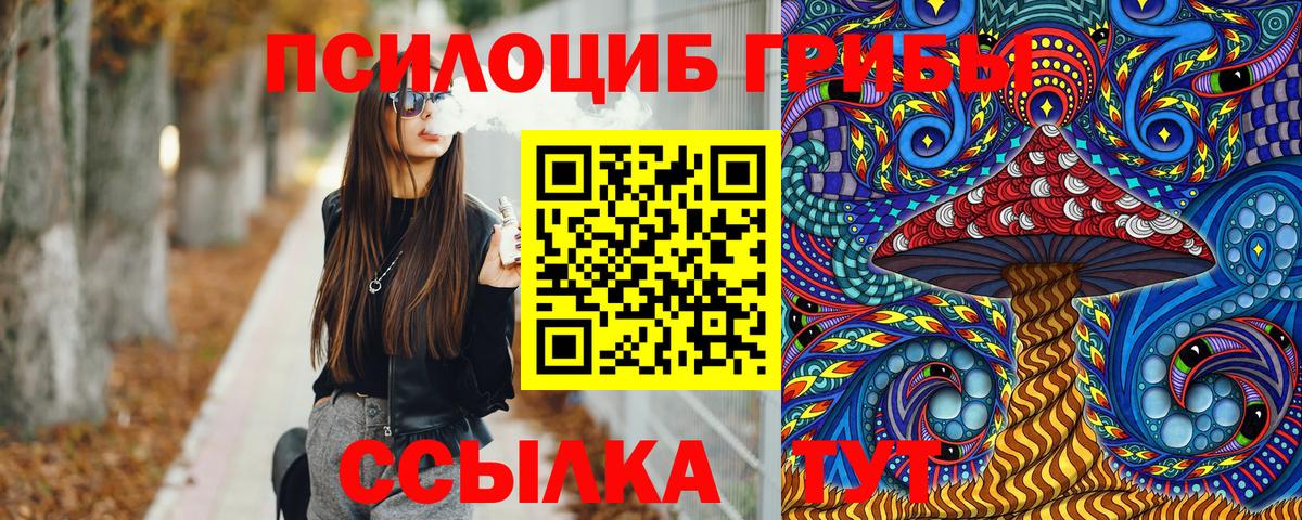 Гудермес  Галлюциногенные грибы Magic Shrooms  Вход с VPN  купить наркотик  Галлюциногенные грибы мицелий 